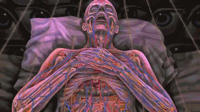 tumblr_nckog6uh1h1rnbafjo1_400.gif