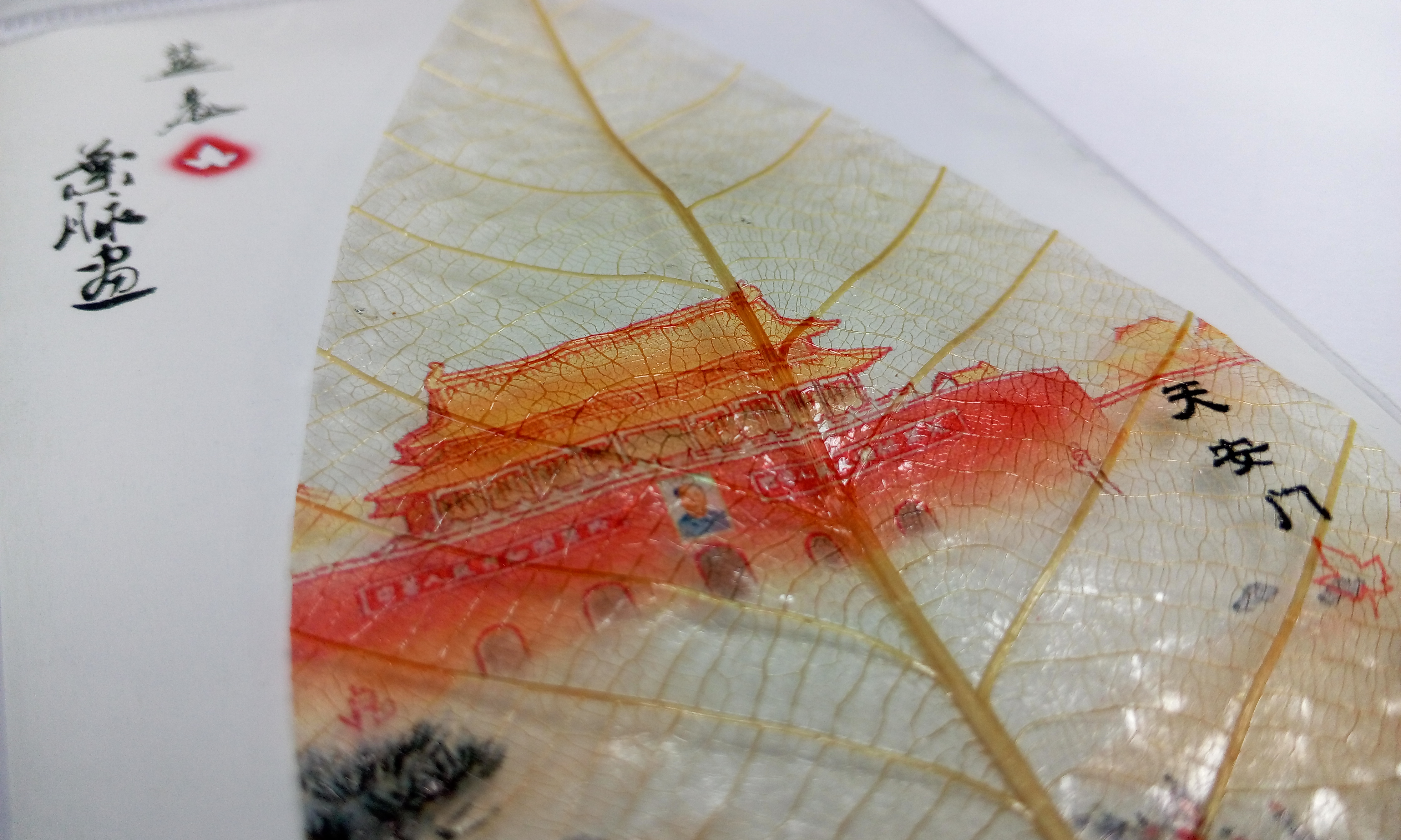 朋友送的叶脉画